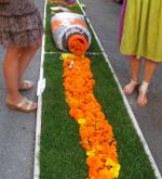 Blumenwelt 2016