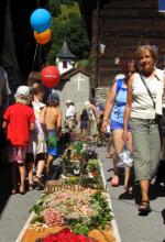Blumenwelt 2016